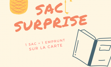 Sacs Surprise Partir En Livre